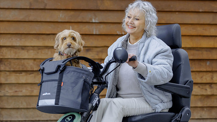 Cestino per animali domestici