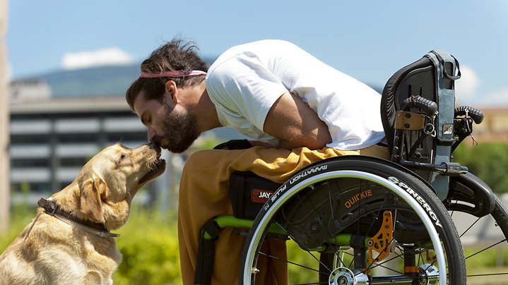 Cani da assistenza per disabili